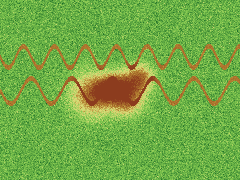 Surface and vegetation change